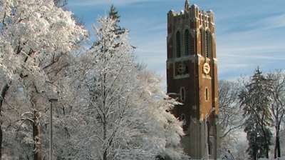 A group of tenure and tenure-track faculty members at Michigan State University are seeking union recognition from the Board of Trustees.