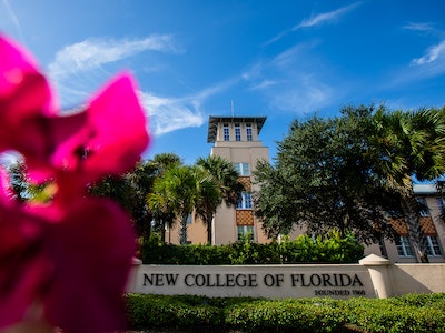 New College Of Florida